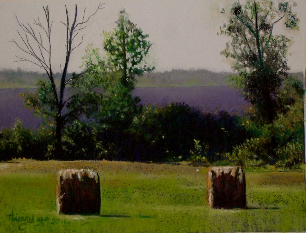paysage de moselle 2011 002 ( tableau à vendre).     350€